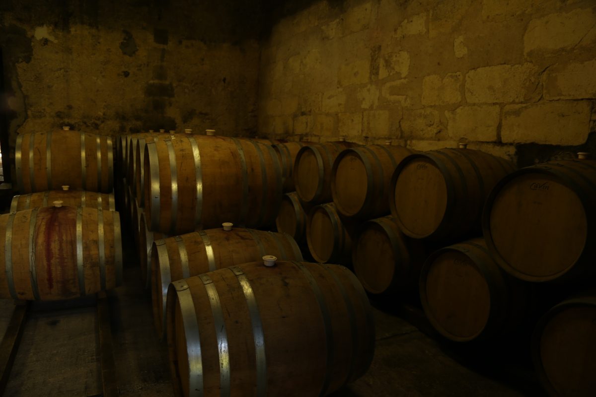 French oak barrels in the cellar